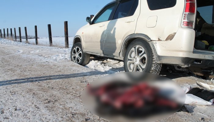 В Приангарье группу охотников осудили за убийство косули