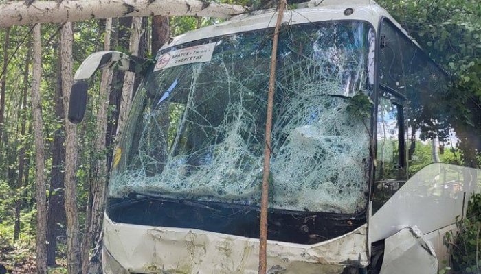Автобус с пассажирами попал в ДТП на трассе «Вилюй» в Братском районе (Видео)