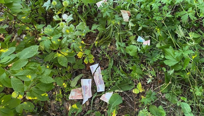 В Бохане парень украл у пенсионерки деньги и разорвал их