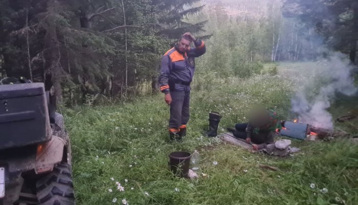 В Усольском районе пенсионер два дня блуждал по лесу