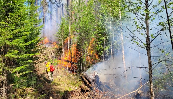 Пять лесных пожаров потушено за сутки в Приангарье