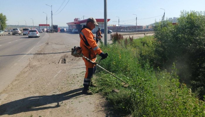 В Иркутске ведется покос травы