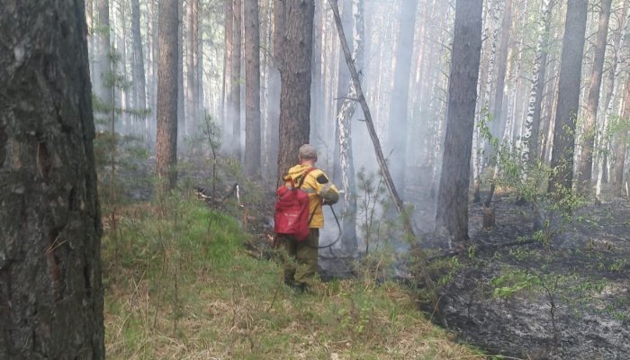 За выходные в Приангарье потушили 10 лесных пожаров