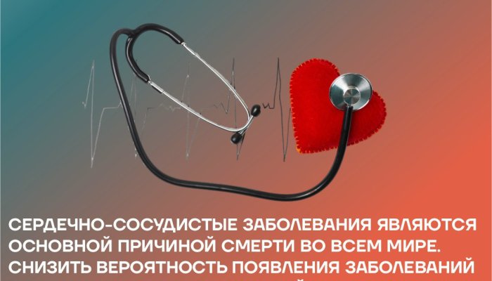 В Иркутске и регионе проходит Неделя профилактики сердечно-сосудистых заболеваний