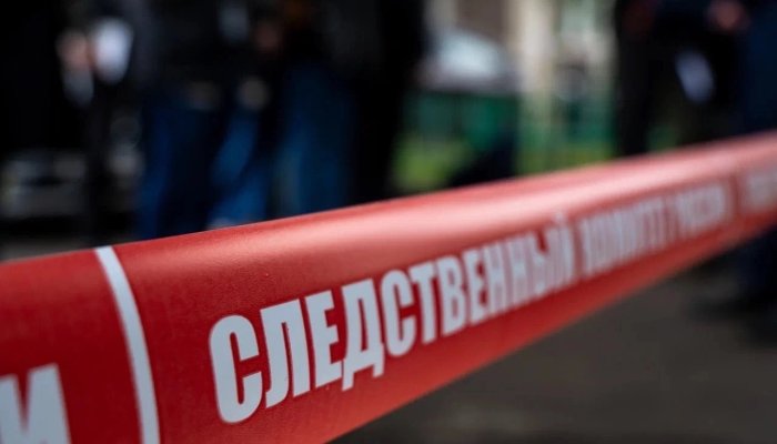 В Нижнеудинске девушка-опекун распивала спиртные напитки с 17-летним братом