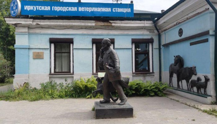 Служба ветеринарии зафиксировала 94 нарушения правил утилизации биологических отходов