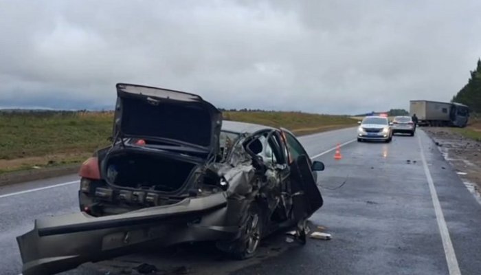 Женщина и четверо детей получили травмы при столкновении Peugeot и фуры в Аларском районе (Видео)