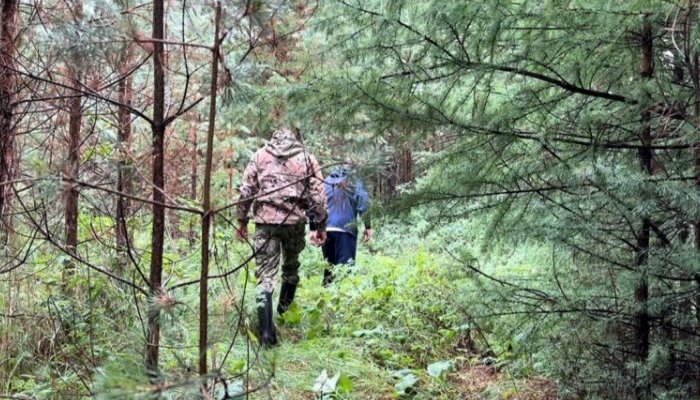 В Шелеховском районе дети ушли в лес за грибами и заблудились