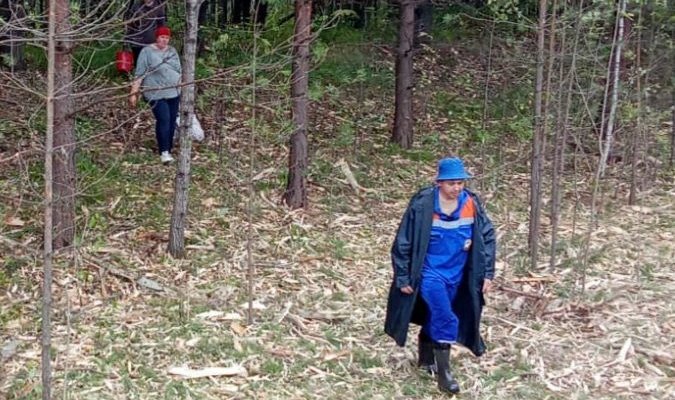 В Тайшете женщины заблудились в лесу во время сбора грибов