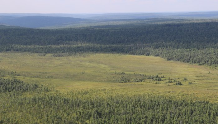 В четырех лесничествах Иркутской области завершился пожароопасный сезон