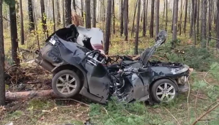 Два человека погибли в ДТП в Братском районе (Видео)