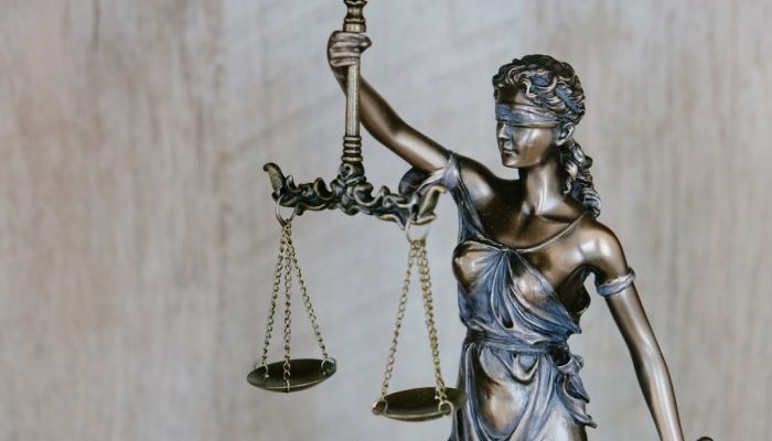 Братчанка получила восемь месяцев ограничения свободы за использование поддельных водительских прав