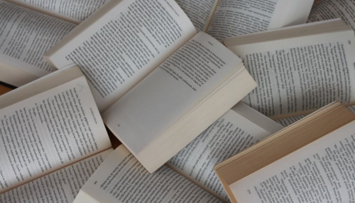 ИИ начнут применять для проверки книг на пропаганду наркотиков
