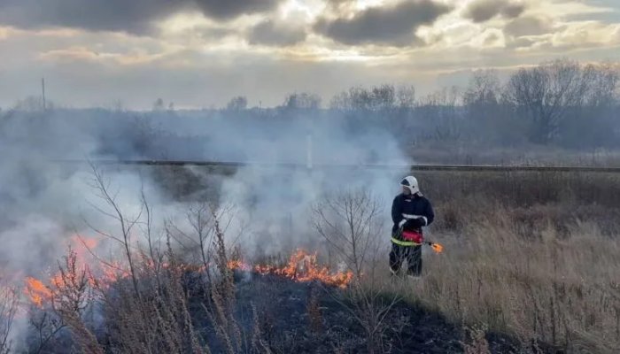 Почти 300 гектаров травы сожгут в Иркутске в рамках подготовки к пожарам