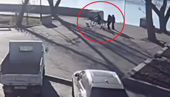 В Иркутске пожилой велосипедист переехал щенка корги (Видео)