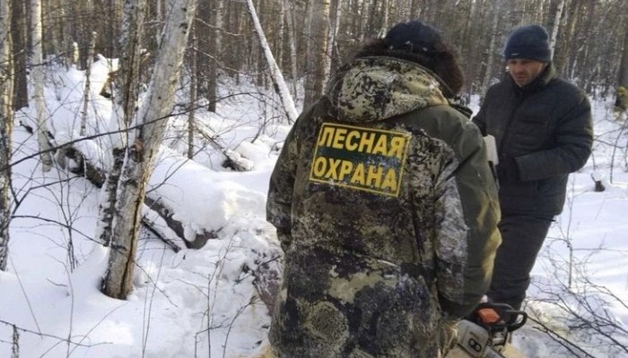 Количество нарушений лесного законодательства в Иркутской области снизилось