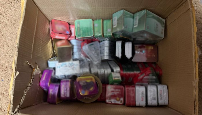 Братчанку подозревают в рассылке запрещённые таблетки для похудения