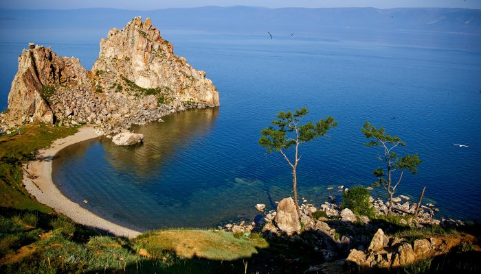 На Байкале обнаружили 18 новых видов растений