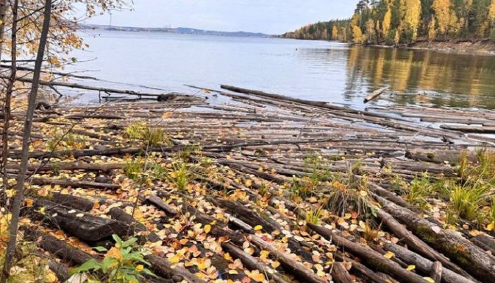 Из Усть-Илимского водохранилища подняли 372 кубометра затопленной древесины