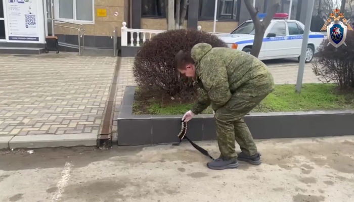 В Анапе студент устроил стрельбу в техникуме (Видео)
