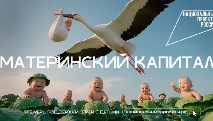 Иркутские семьи с детьми могут получить поддержку в рамках нацпроекта «Семья»