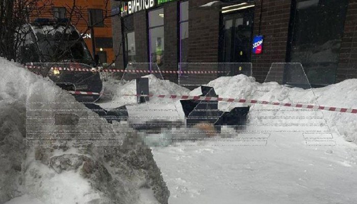 Супруги погибли при падении с высоты в Новой Москве