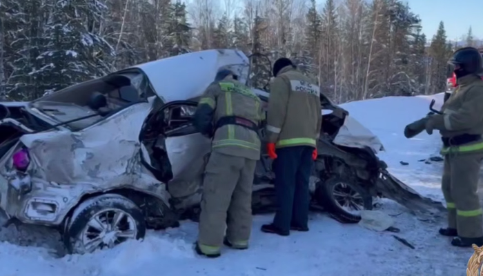 В Нижнеилимском районе произошло смертельное ДТП (Видео)