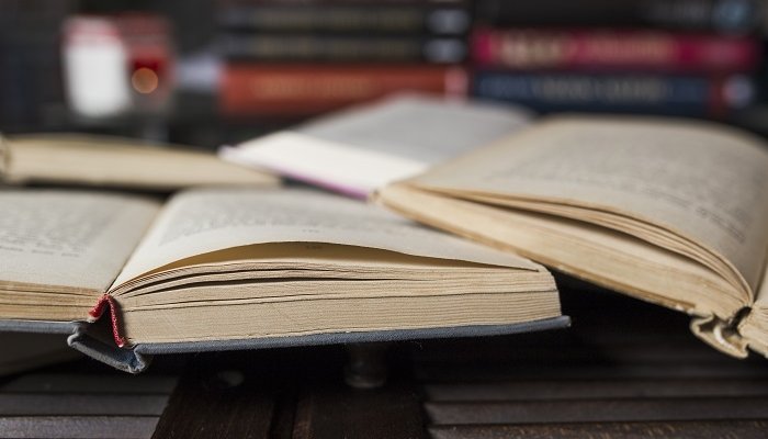 «Насильник» не подходит: почему слово «абьюзер» хотят добавить в словари русского языка