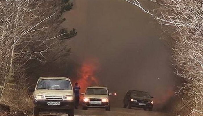 Братчанина признали виновным в лесном пожаре и ущербе в СНТ «Алюминщик»