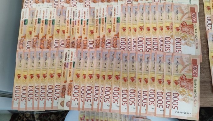 В Иркутске карманник украл три миллиона рублей у жертвы телефонных мошенников (Видео)