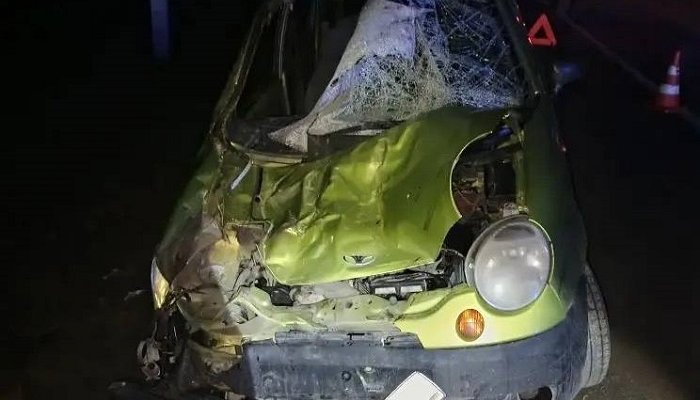 В Ставрополье легковушка врезалась в табун лошадей