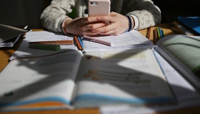 Минпросвещения РФ предложило создать «белый список» образовательных ресурсов