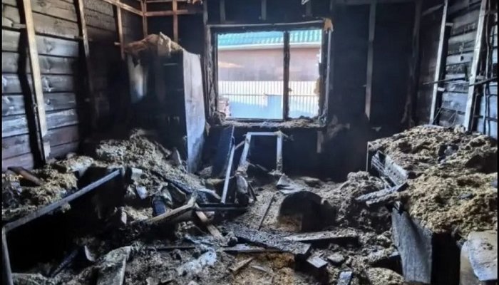 Забыла сковороду на плите и уехала: в селе Мамоны из‑за неосторожности сгорел брусовый дом