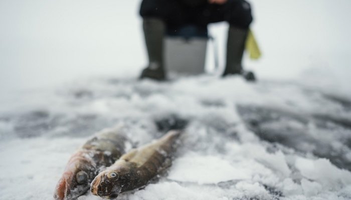 В Братске ищут двух рыбаков, которые перестали выходить на связь