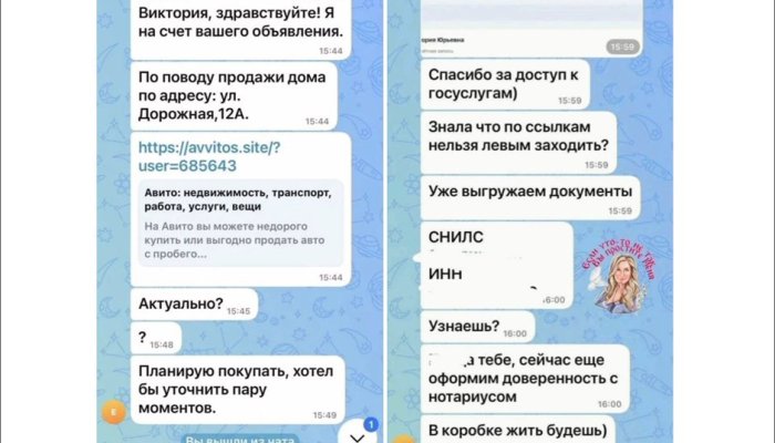 Вика Цыганова стала жертвой аферистов в Братске