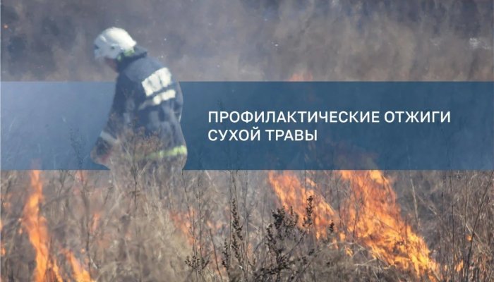 В двух округах Иркутска пройдут отжиги сухой травы