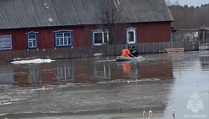 Паводок в Алтайском крае подтопил 142 дома и 306 участков