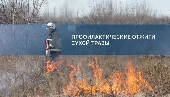 Отжиги сухой травы пройдут в двух округах Иркутска