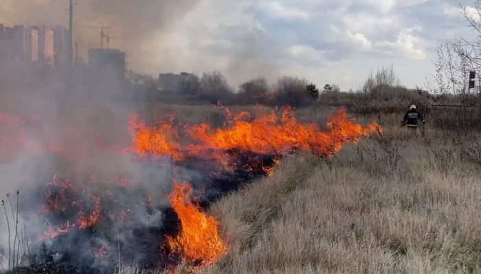24 апреля в Иркутске снова будут сжигать сухую траву
