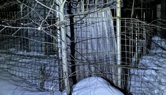 В Усть-Илимске семилетний мальчик получил удар током от подстанции