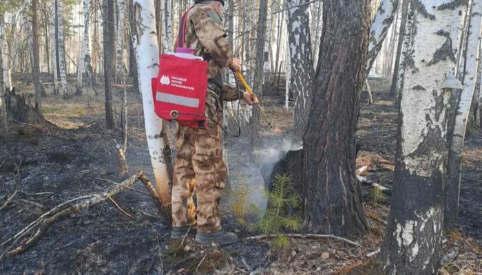 Лесной пожар ликвидировали в Нижнеудинском районе