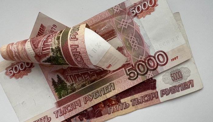 Кто такие коллекторы и зачем они вообще нужны