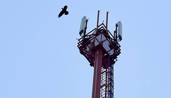 МТС запустила отечественные базовые станции LTE в 15 районах Приангарья