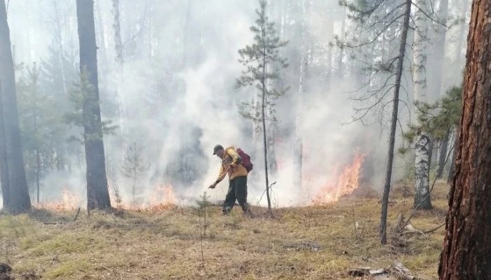 Два лесных пожара потушили в Приангарье