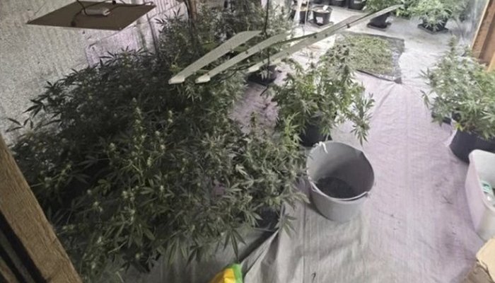 В иркутском аэропорту мужчину задержали за сбыт наркотиков