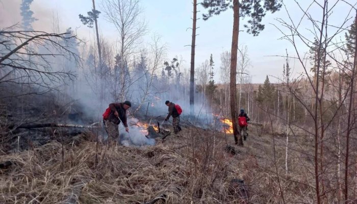 В лесах Приангарья за сутки потушили четыре пожара