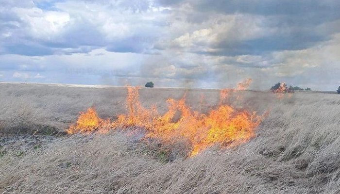 Тракторист спровоцировал пожар на поле в Зиминском районе
