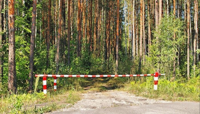 В Приангарье ввели ограничение на посещение лесов
