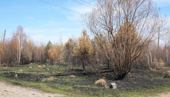 В Иркутской области введён особый противопожарный режим