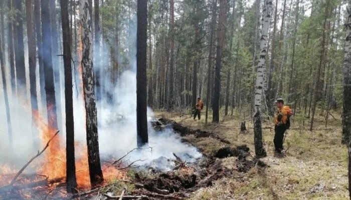 Усть-Илимск окутало плотным дымом лесных пожаров